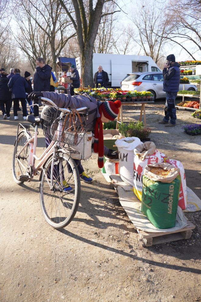 Sajam srijedom 25.2.2026 (5)