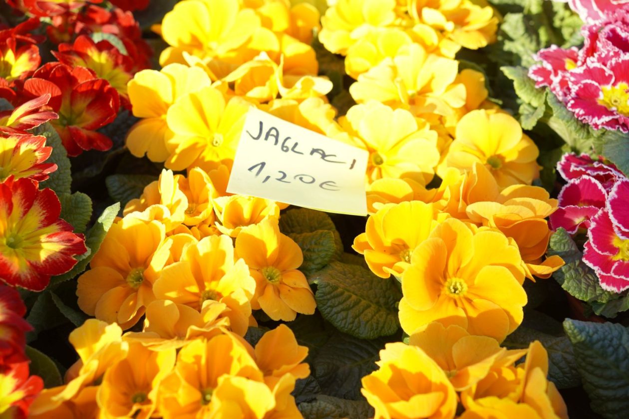 Sajam srijedom 25.2.2026 (7)