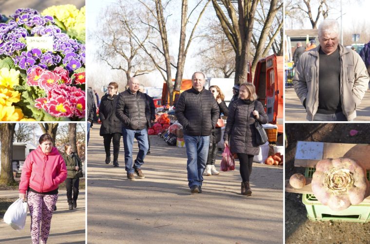 Sajam srijedom 25.2.2026. Sajam srijedom 25.2.2026.