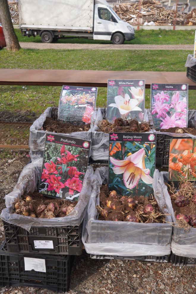 Sajam srijedom 25.3.2026 (19) Sajam srijedom 25.3.2026 (19)