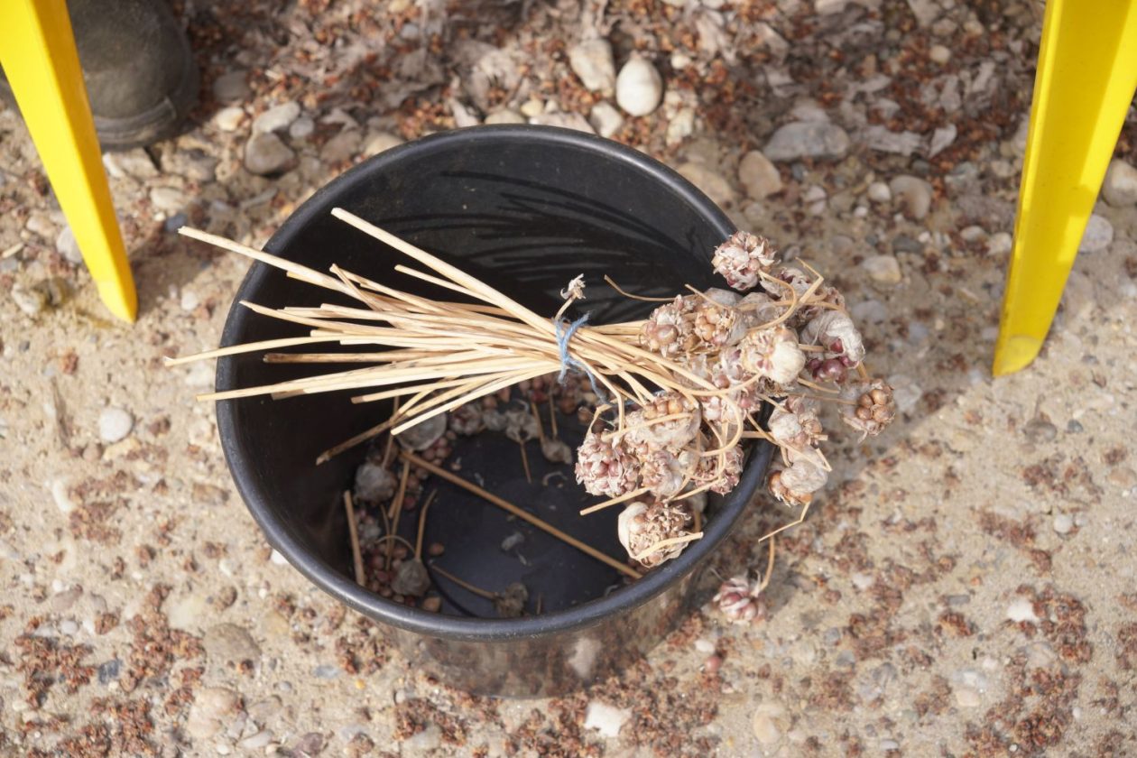 Sajam srijedom 25.3.2026 (20) Sajam srijedom 25.3.2026 (20)