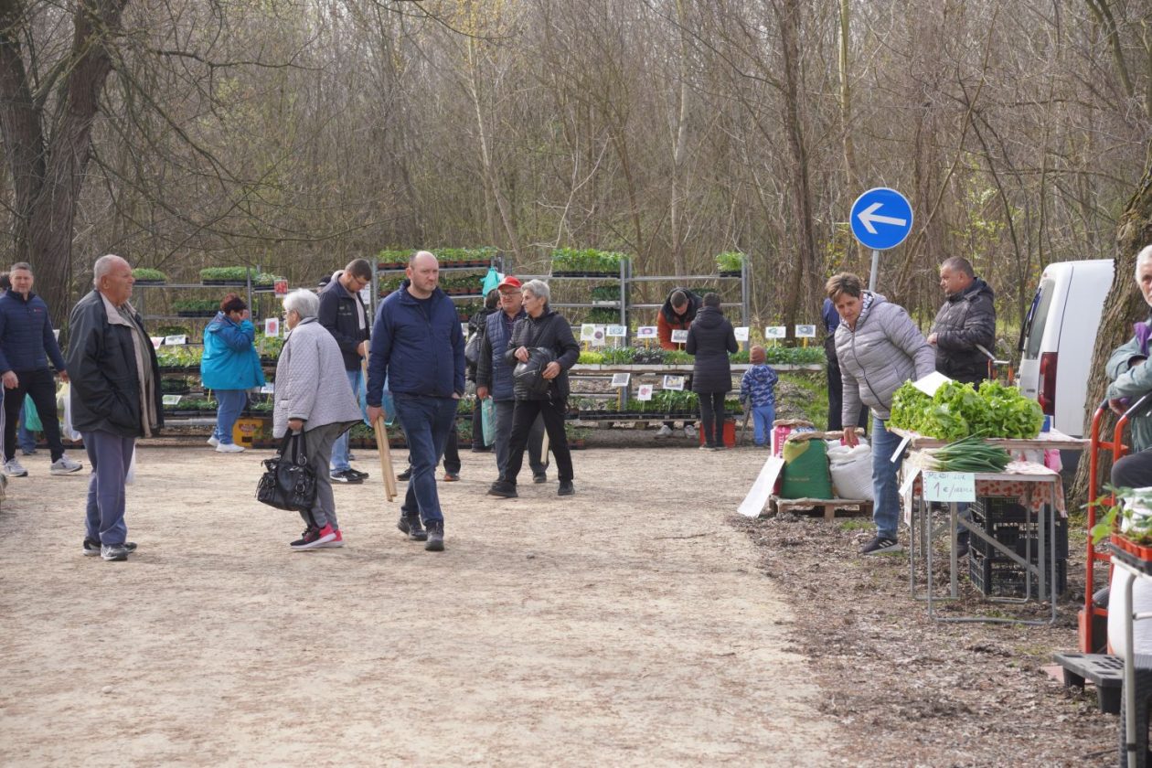 Sajam srijedom 25.3.2026 (22) Sajam srijedom 25.3.2026 (22)