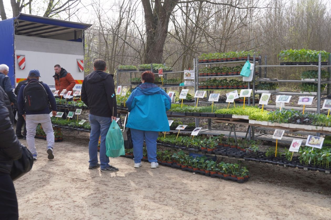 Sajam srijedom 25.3.2026 (29) Sajam srijedom 25.3.2026 (29)