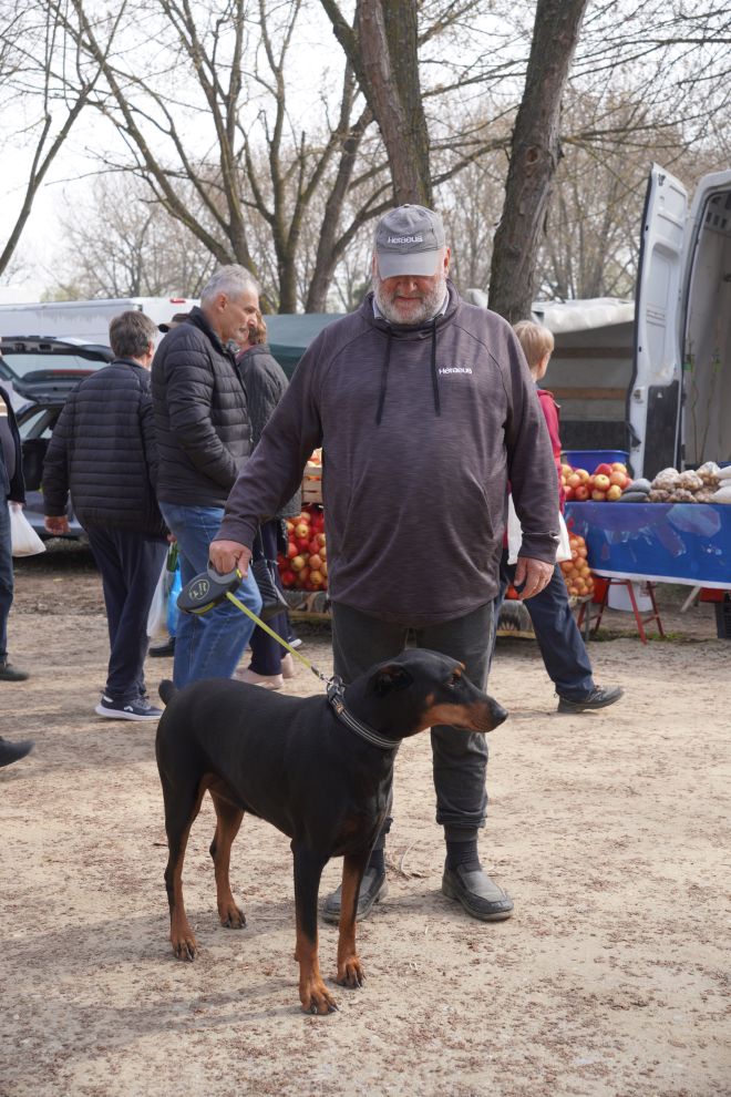Sajam srijedom 25.3.2026 (30) Sajam srijedom 25.3.2026 (30)