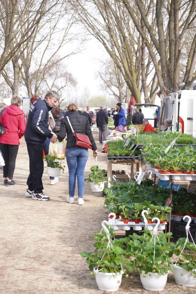 Sajam srijedom 25.3.2026 (35) Sajam srijedom 25.3.2026 (35)