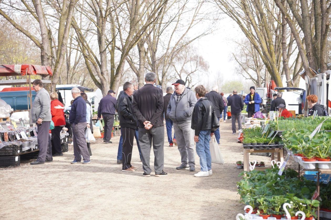 Sajam srijedom 25.3.2026 (36) Sajam srijedom 25.3.2026 (36)