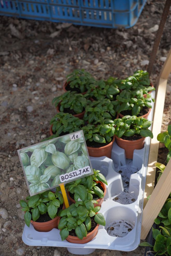 Sajam srijedom 25.3.2026 (37) Sajam srijedom 25.3.2026 (37)