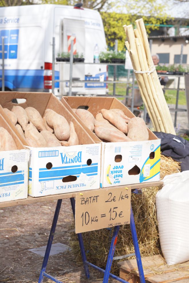 Sajam srijedom 25.3.2026 (46) Sajam srijedom 25.3.2026 (46)