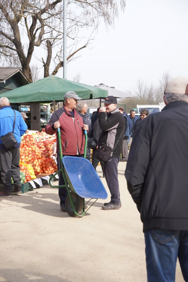 Sajam srijedom 25.3.2026 (50) Sajam srijedom 25.3.2026 (50)