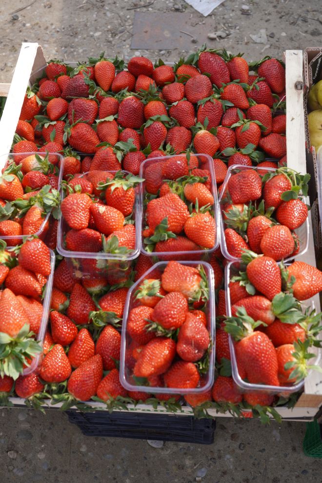 Sajam srijedom 25.3.2026 (51) Sajam srijedom 25.3.2026 (51)