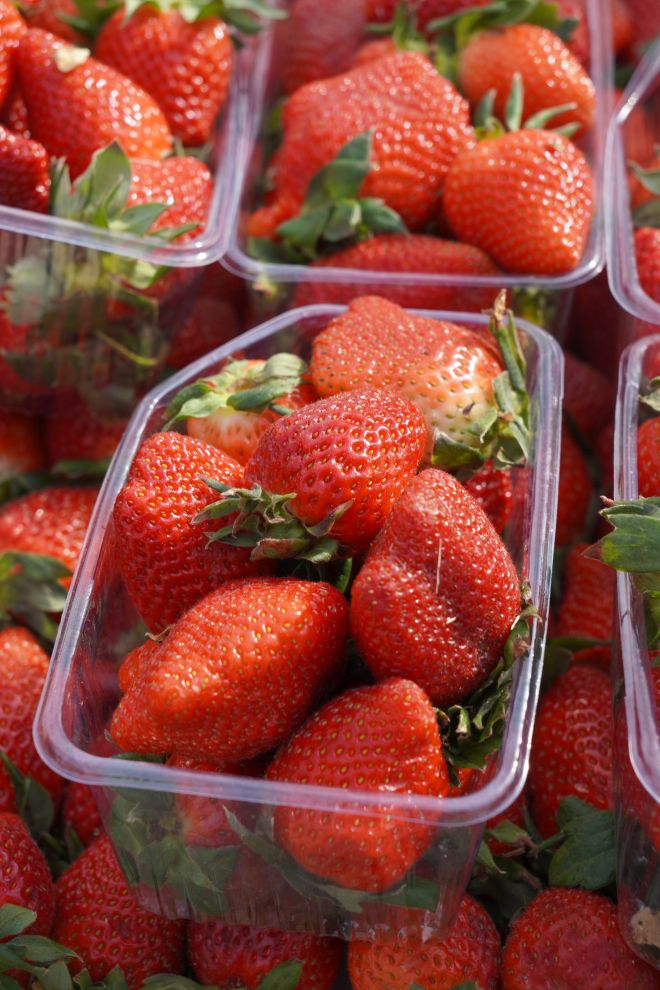 Sajam srijedom 25.3.2026 (52) Sajam srijedom 25.3.2026 (52)