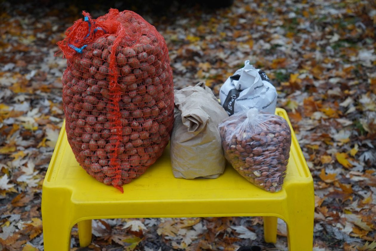 Sajam srijedom 26.11.2025 (1)