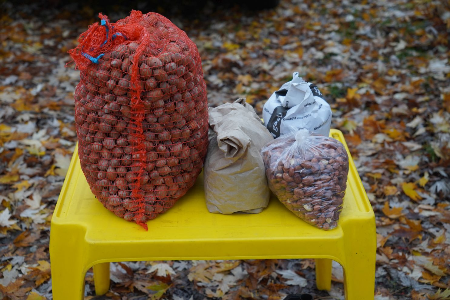 Sajam srijedom 26.11.2025 (1)