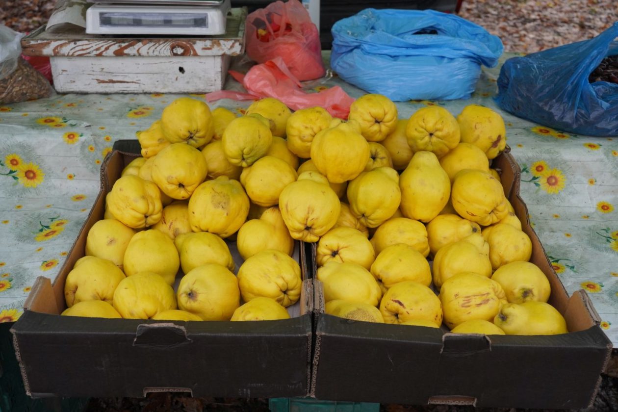 Sajam srijedom 26.11.2025 (11)