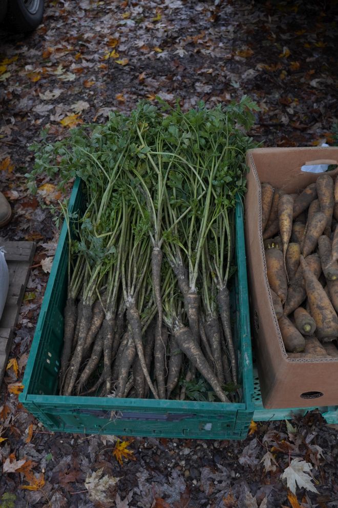 Sajam srijedom 26.11.2025 (13)