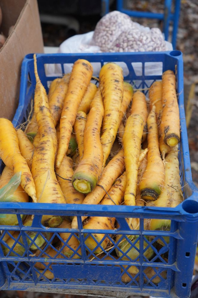 Sajam srijedom 26.11.2025 (25)