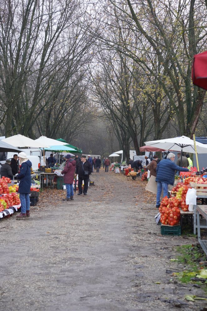 Sajam srijedom 26.11.2025 (28)