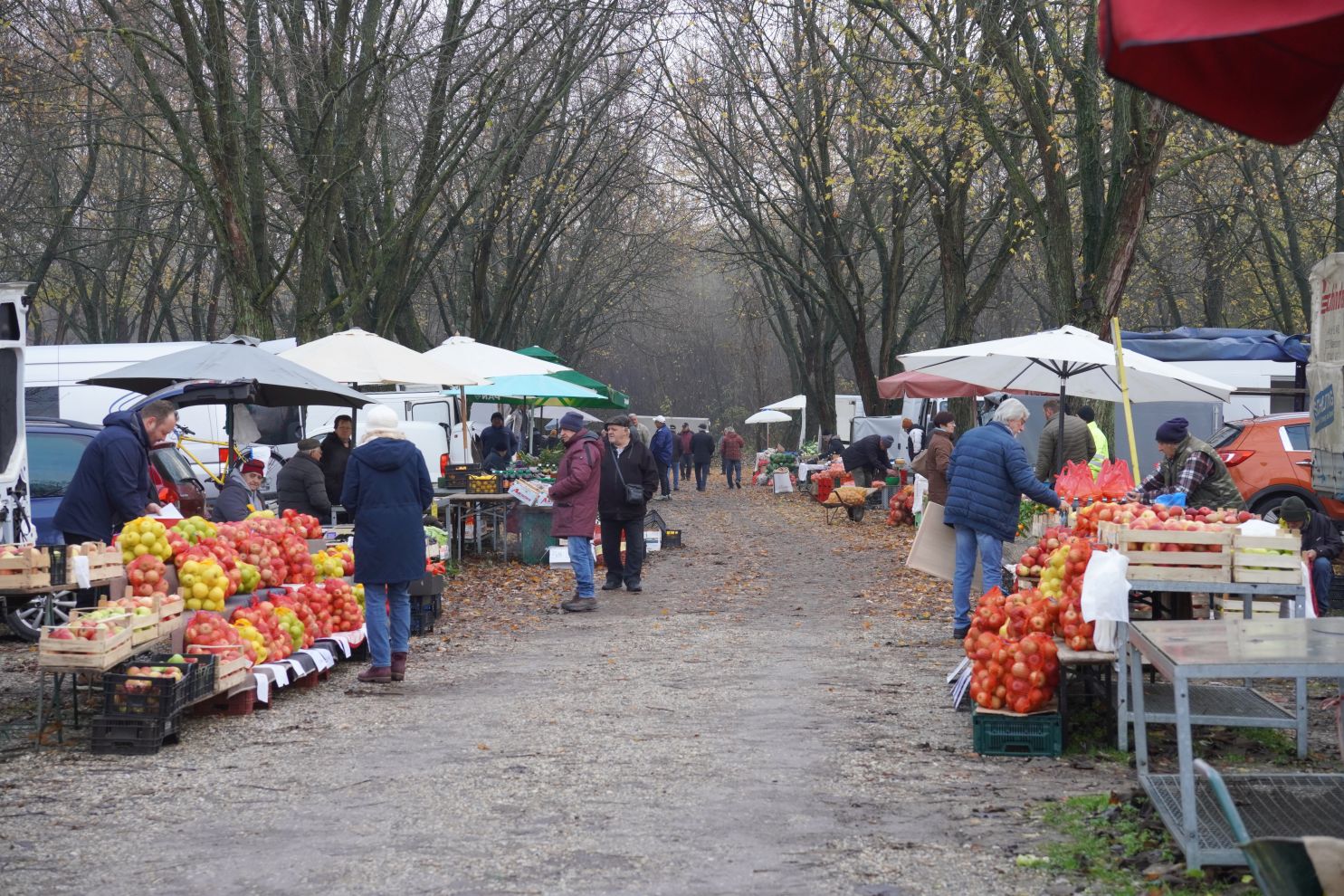 Sajam srijedom 26.11.2025 (29)