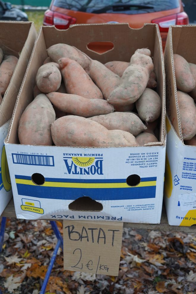 Sajam srijedom 26.11.2025 (35)