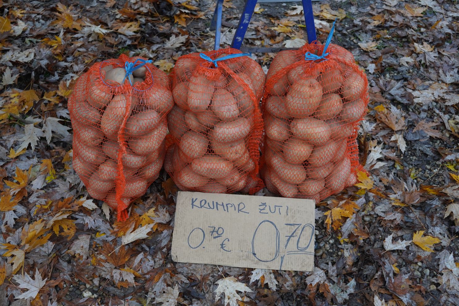 Sajam srijedom 26.11.2025 (36)