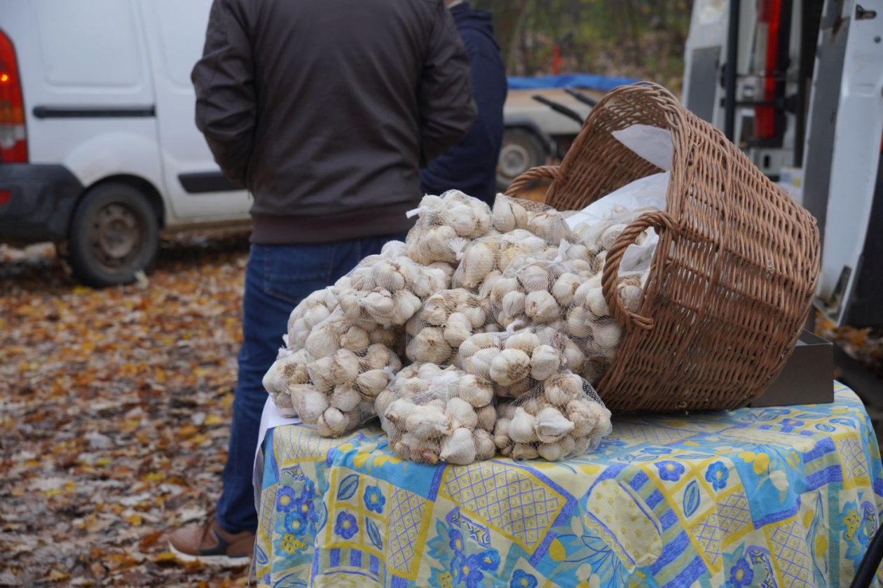 Sajam srijedom 26.11.2025 (40)