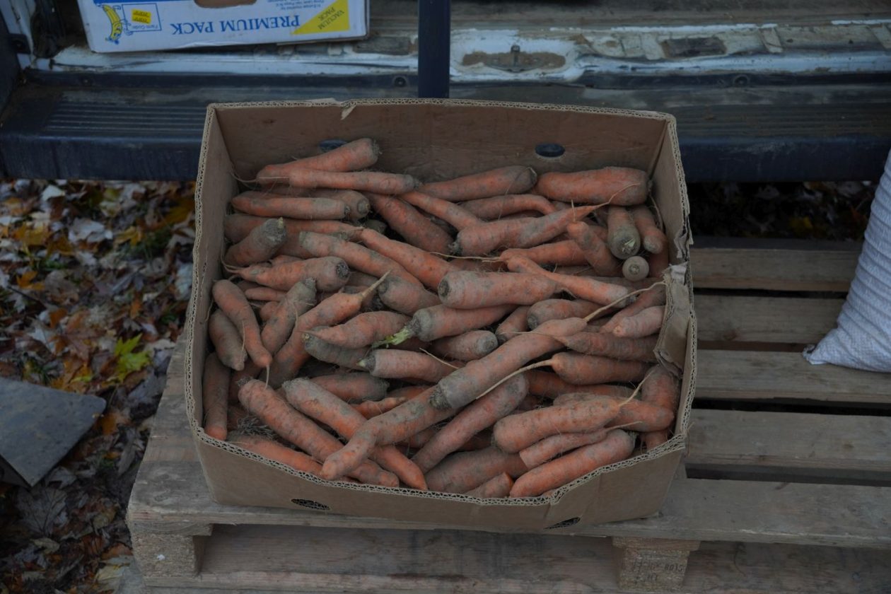 Sajam srijedom 26.11.2025 (42)