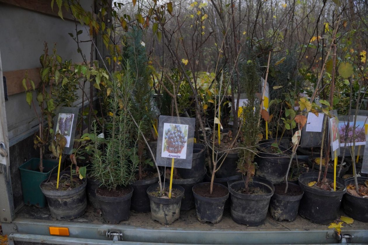 Sajam srijedom 26.11.2025 (6)