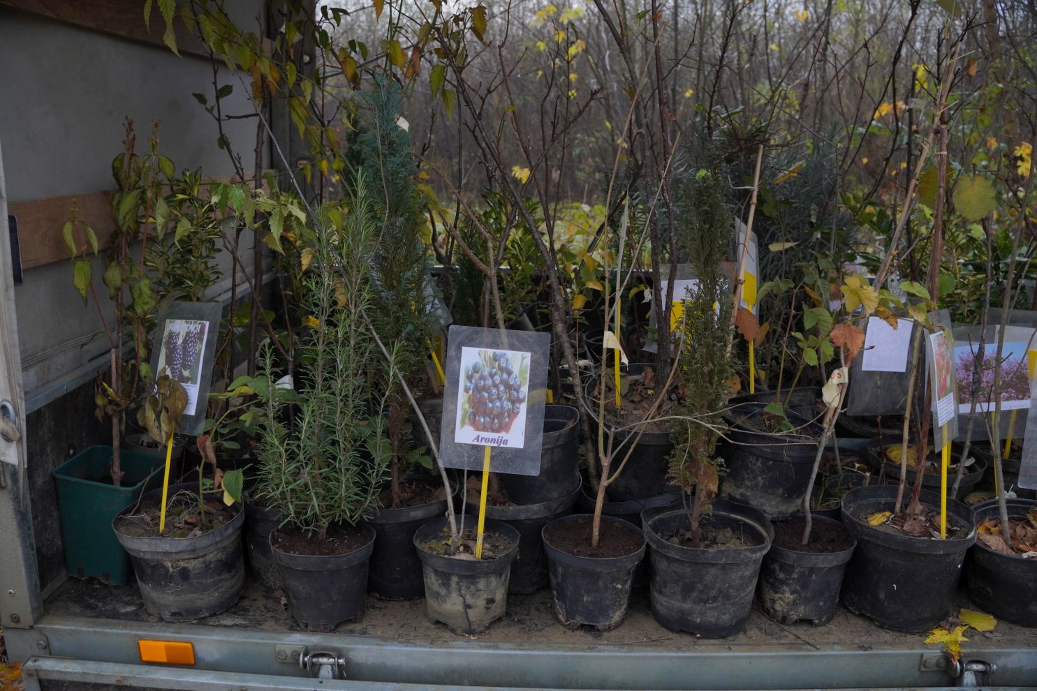 Sajam srijedom 26.11.2025 (6)