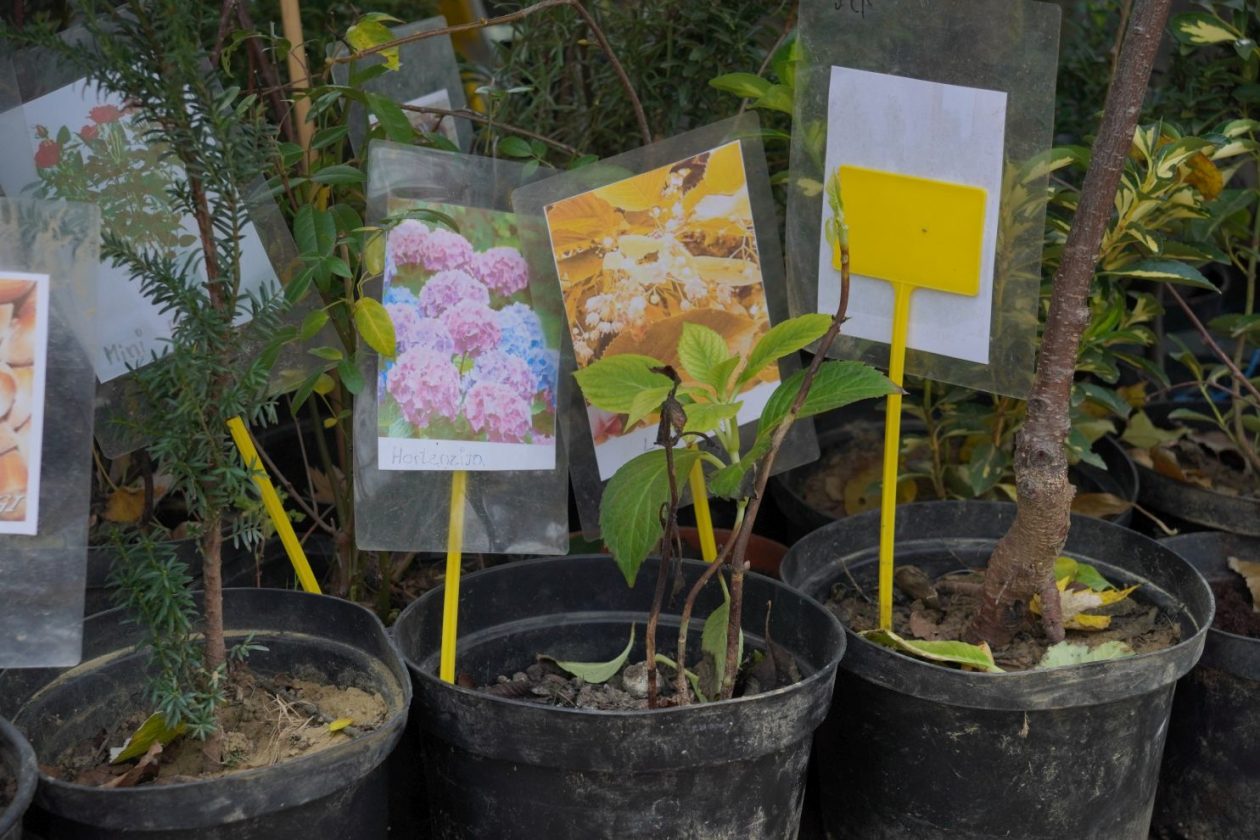 Sajam srijedom 26.11.2025 (8)