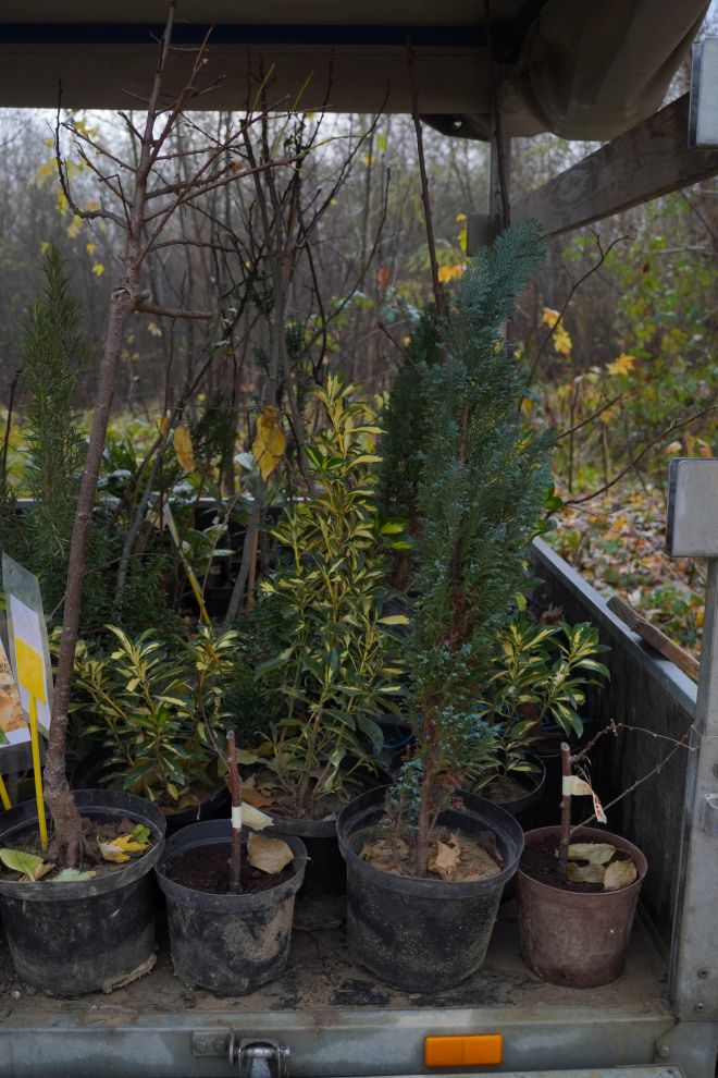 Sajam srijedom 26.11.2025 (9)