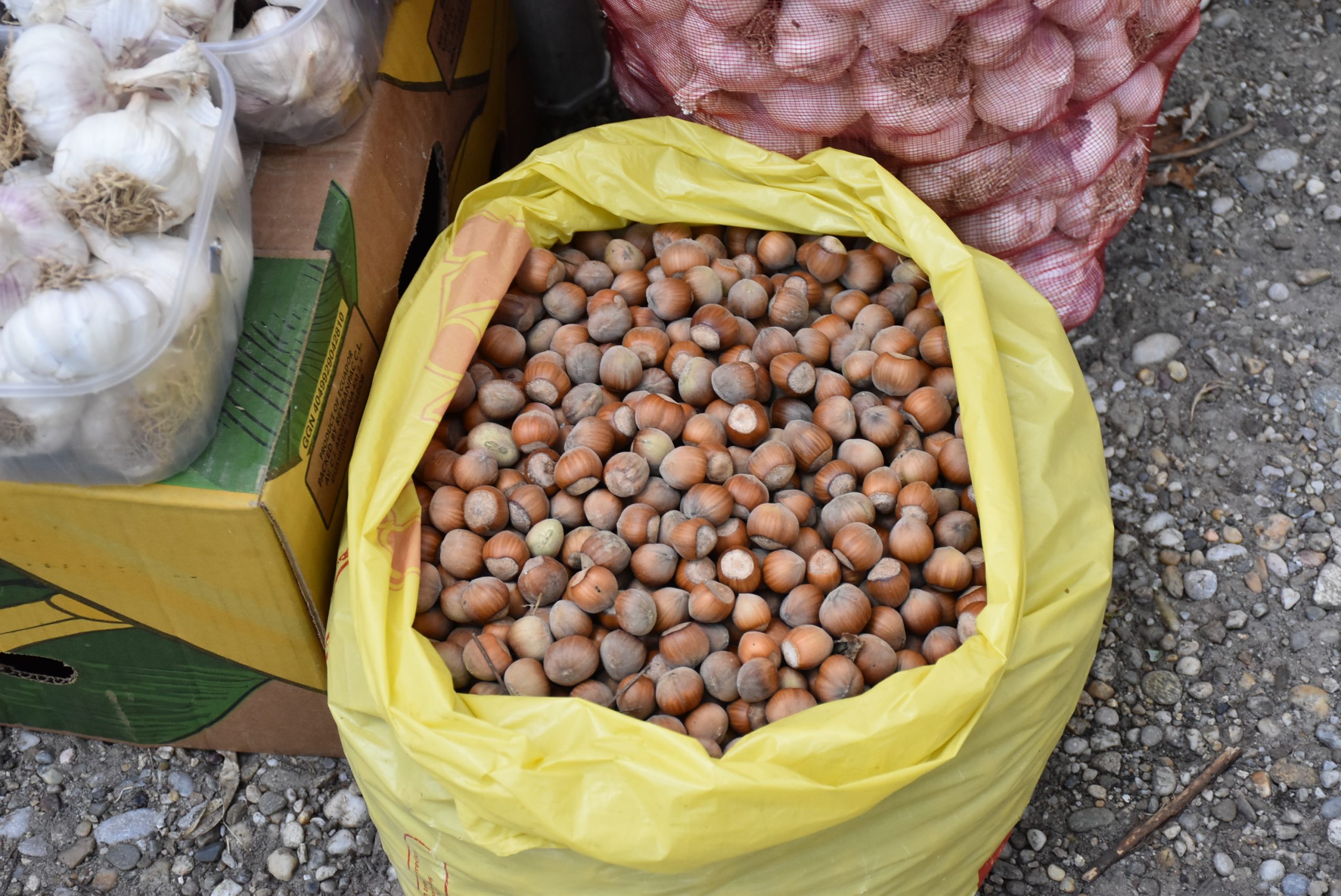 Sajam srijedom (28) lješnjaci Sajam srijedom (28) lješnjaci