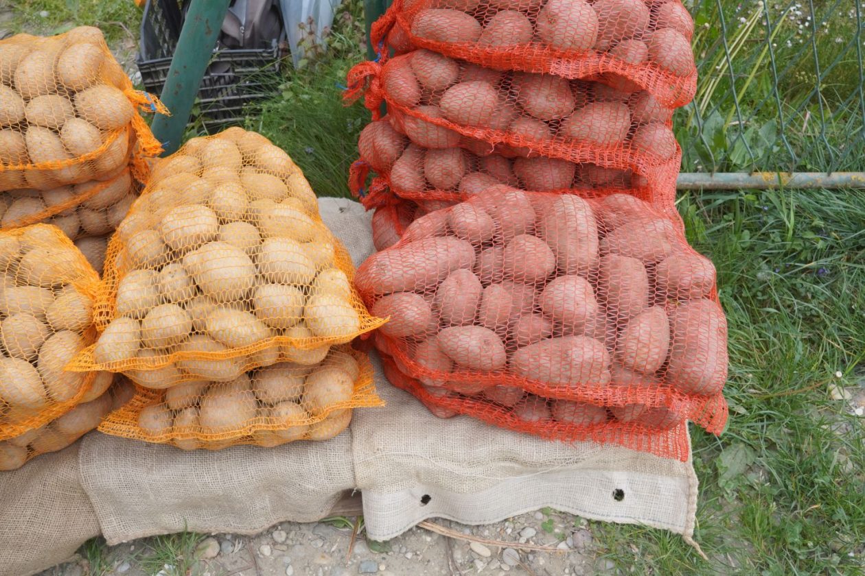 Sajam srijedom 29.4.2026 (1)