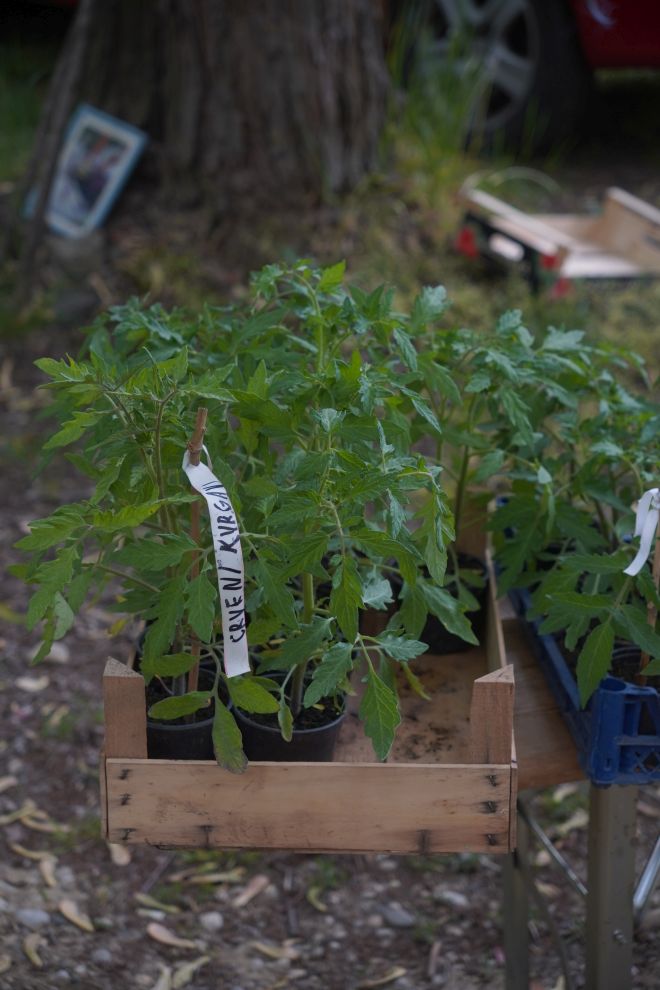 Sajam srijedom 29.4.2026 (14)