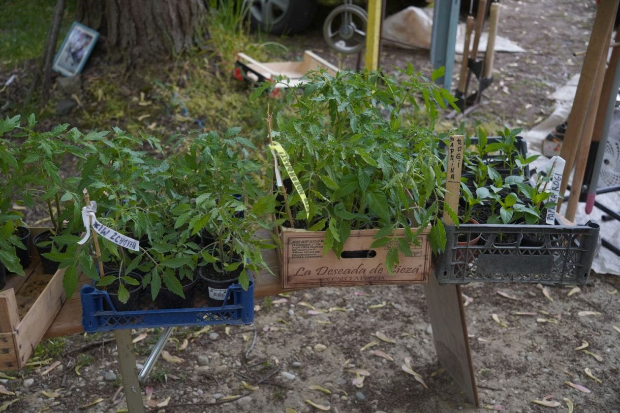 Sajam srijedom 29.4.2026 (15)