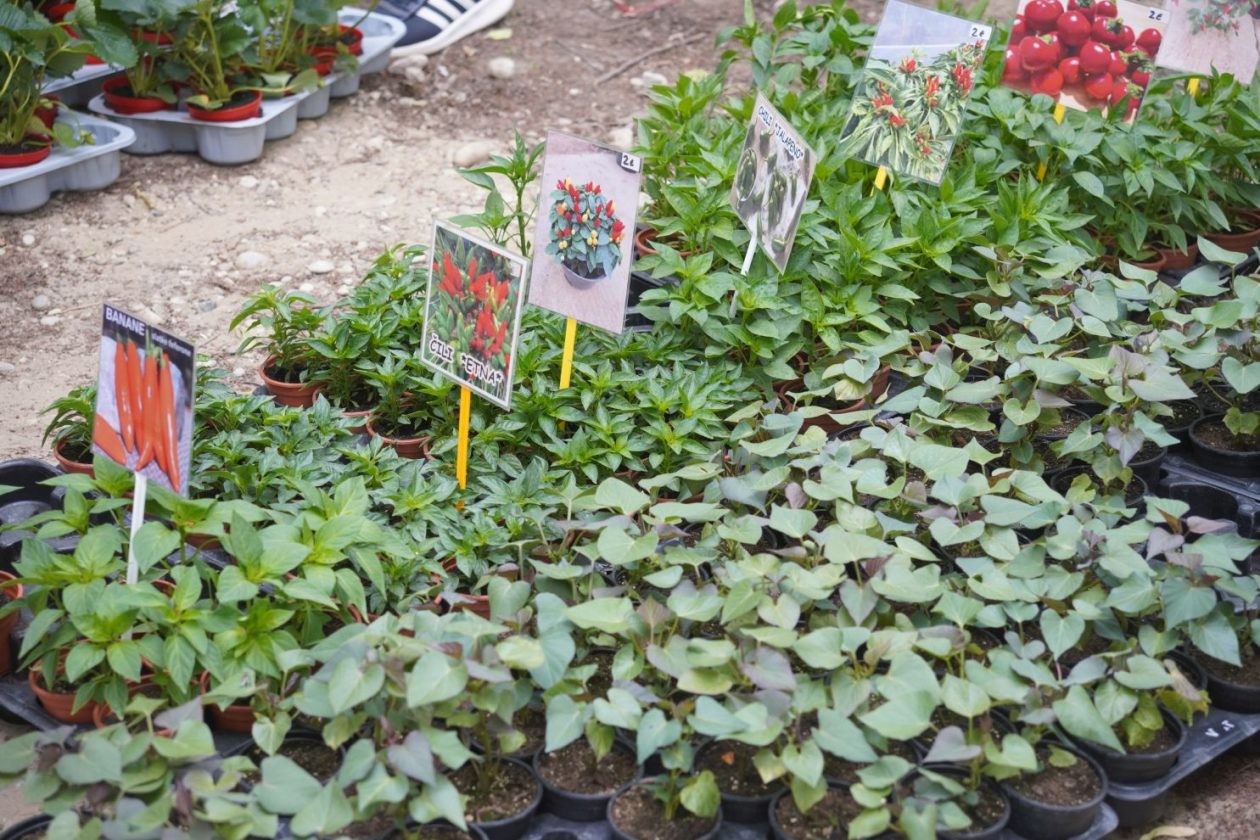 Sajam srijedom 29.4.2026 (23)