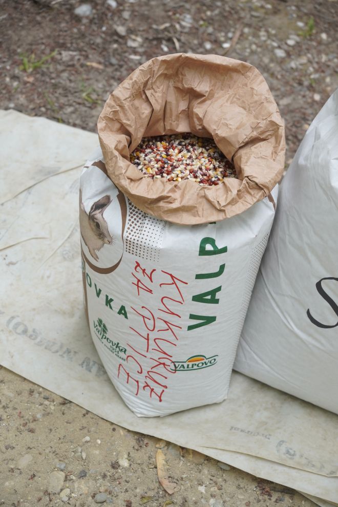 Sajam srijedom 29.4.2026 (29)