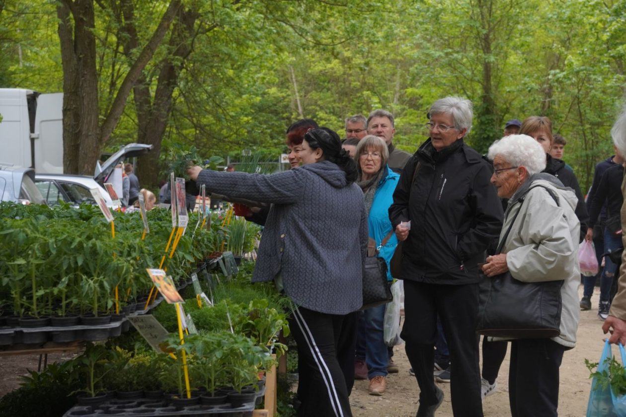 Sajam srijedom 29.4.2026 (31)