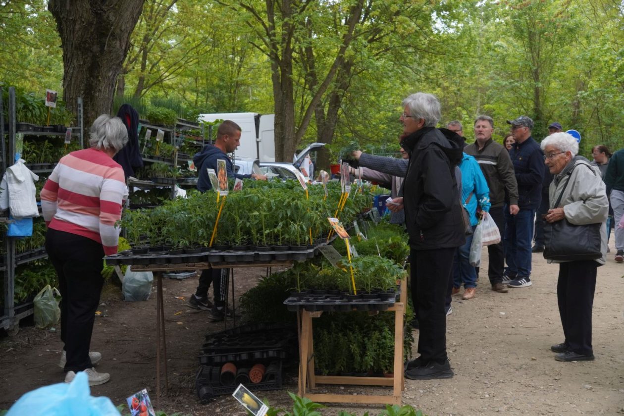 Sajam srijedom 29.4.2026 (32)