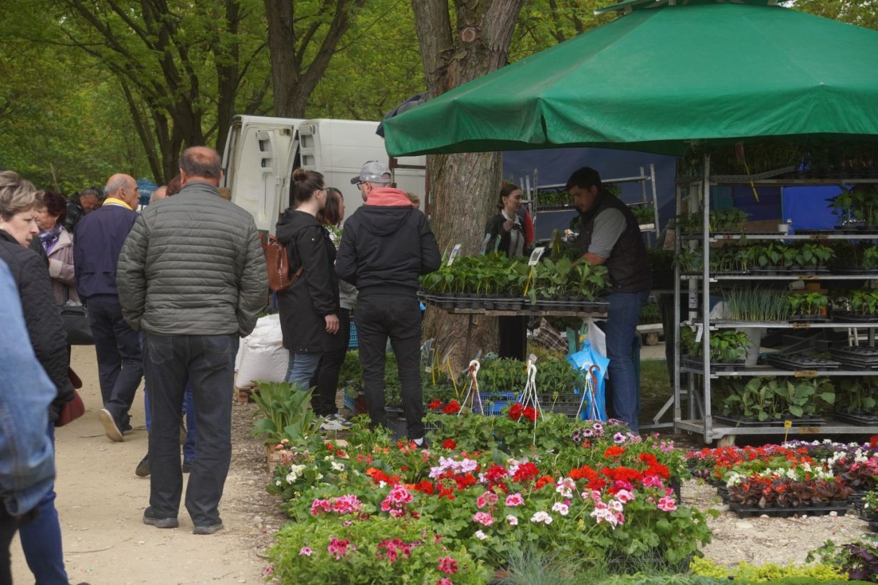 Sajam srijedom 29.4.2026 (48)