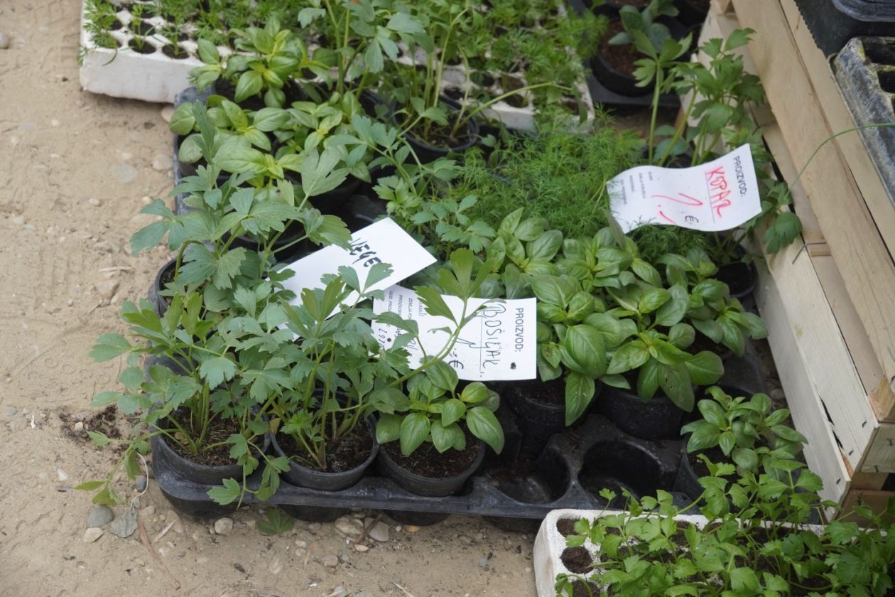 Sajam srijedom 29.4.2026 (54)