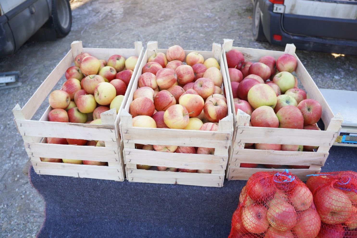 Sajam srijedom 31.12.2025 (10)