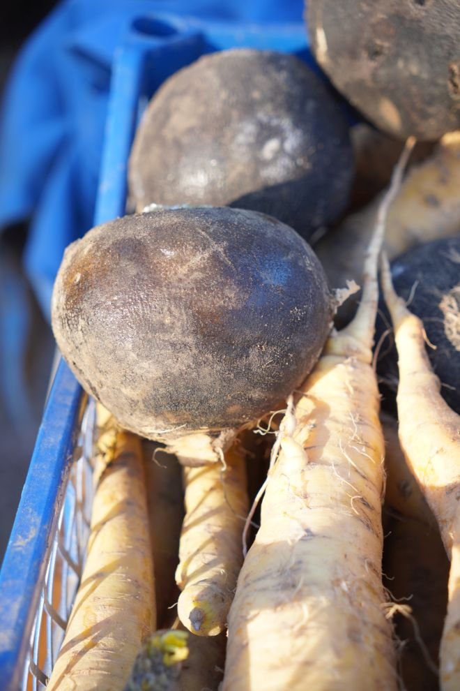 Sajam srijedom 31.12.2025 (19)