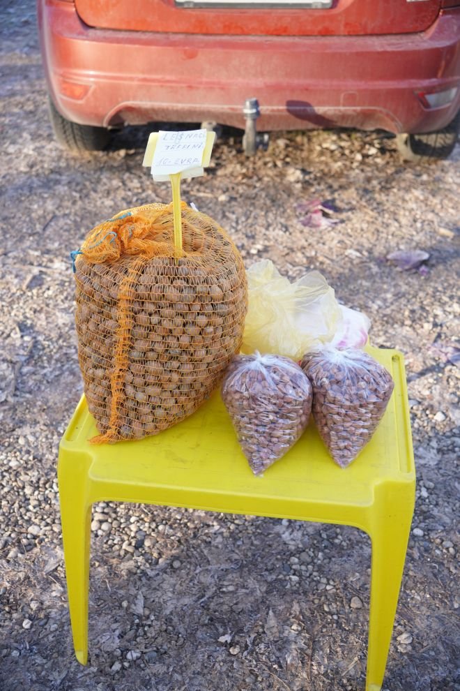 Sajam srijedom 31.12.2025 (22)