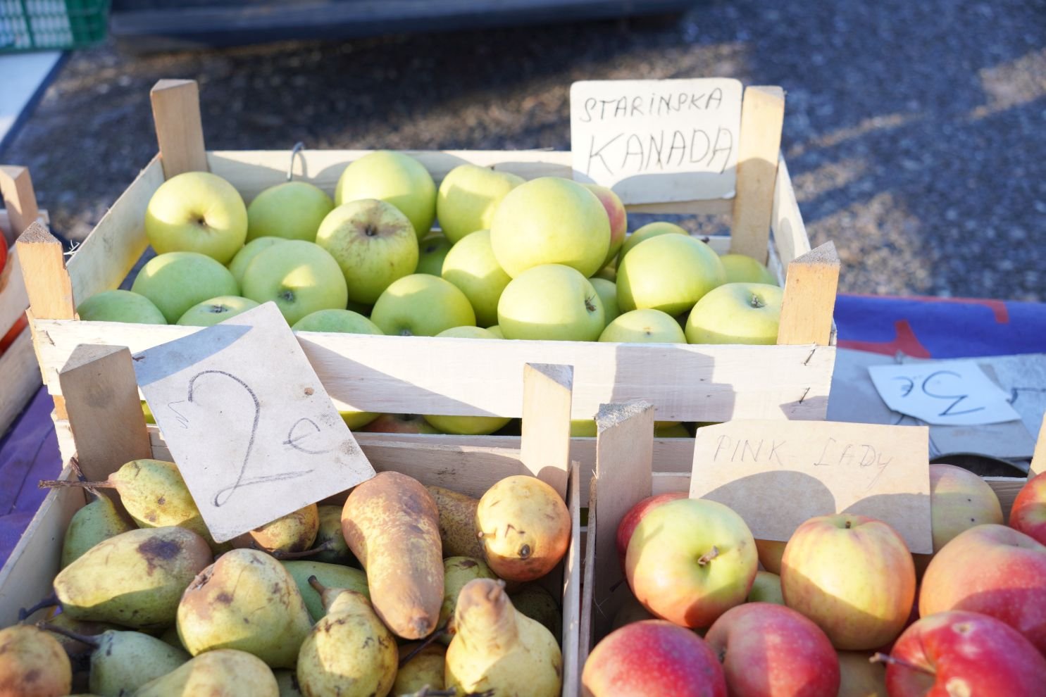 Sajam srijedom 31.12.2025 (33)