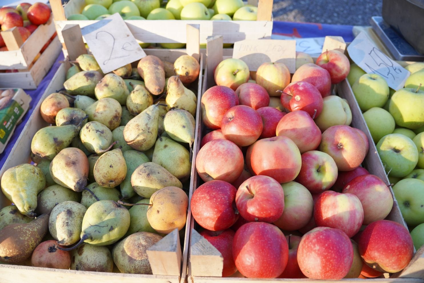 Sajam srijedom 31.12.2025 (34)