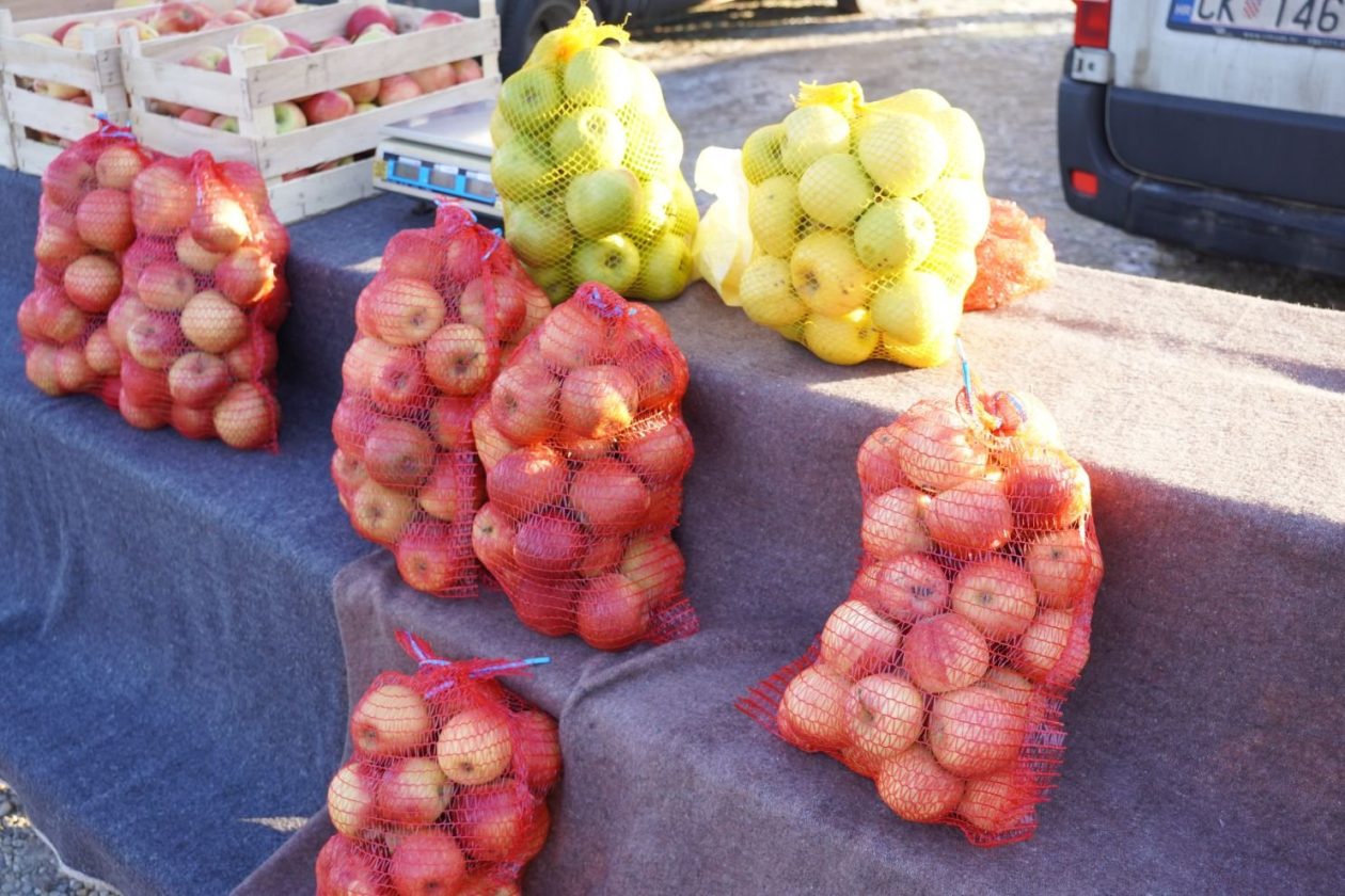 Sajam srijedom 31.12.2025 (8)