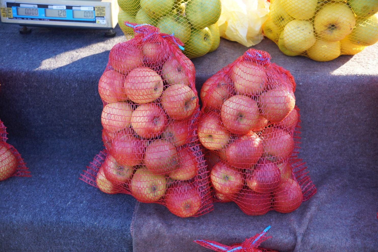 Sajam srijedom 31.12.2025 (9)