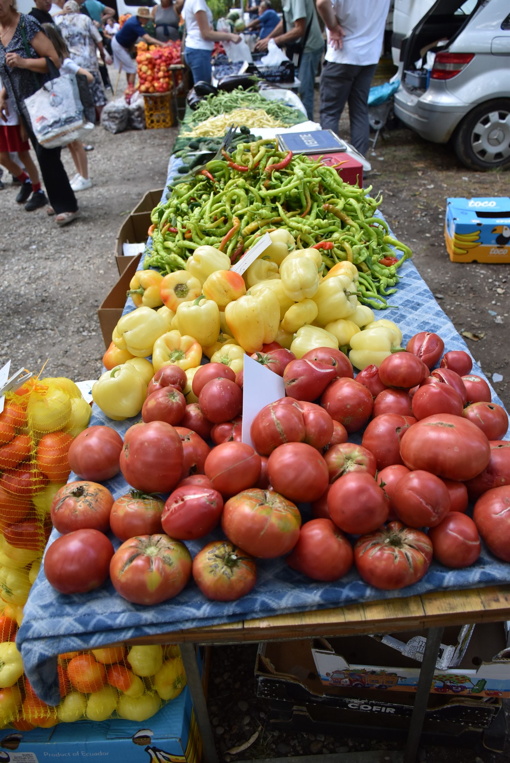 Sajam srijedom (32) Sajam srijedom (32)