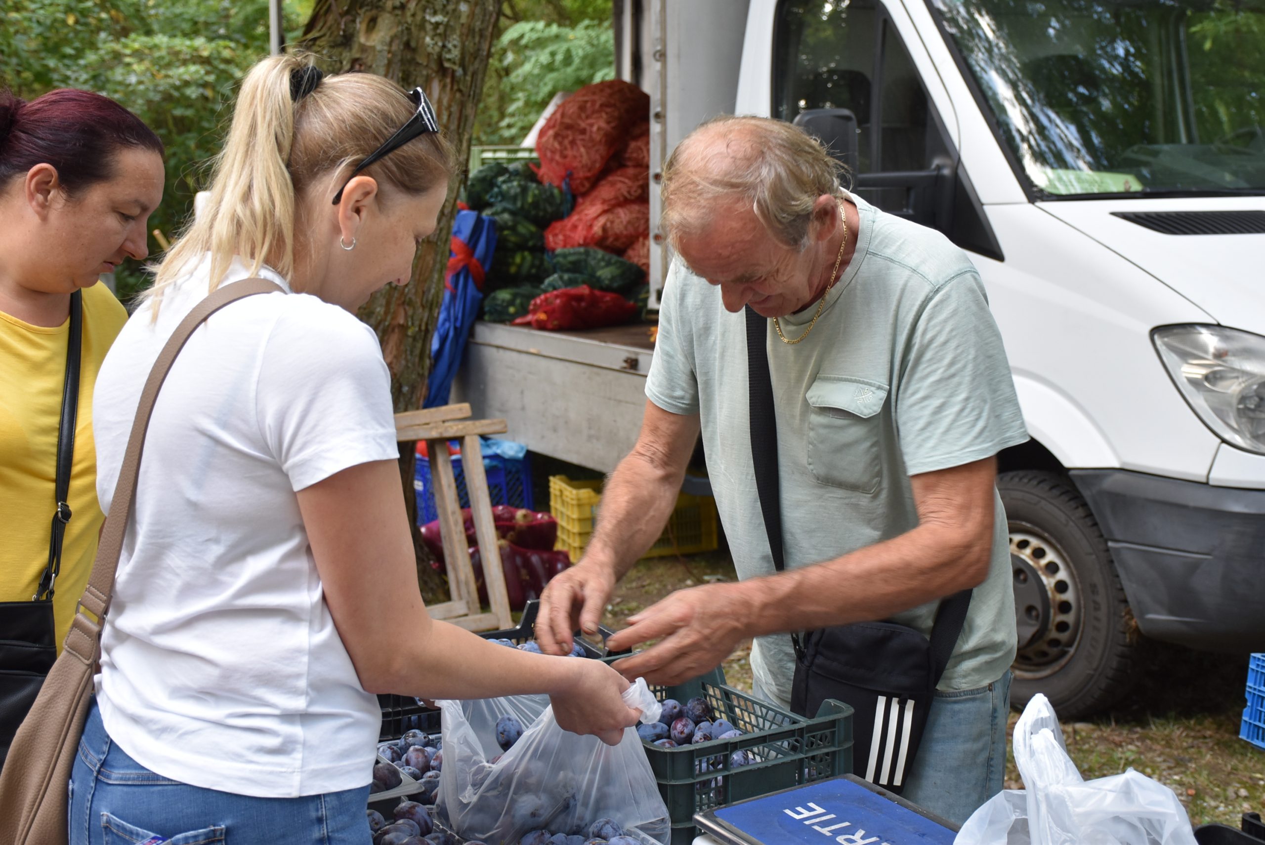 Sajam srijedom (33) Sajam srijedom (33)