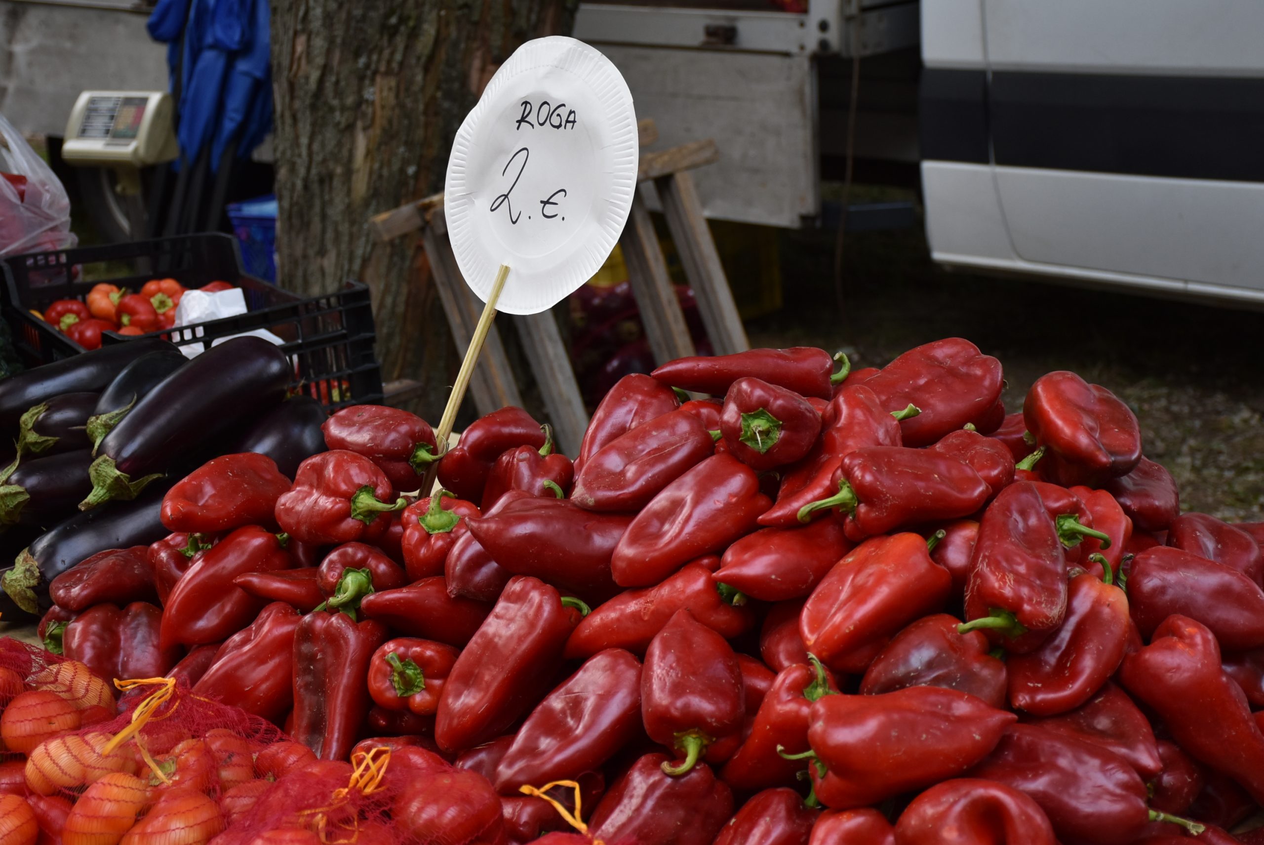 Sajam srijedom (34) paprika Sajam srijedom (34) paprika